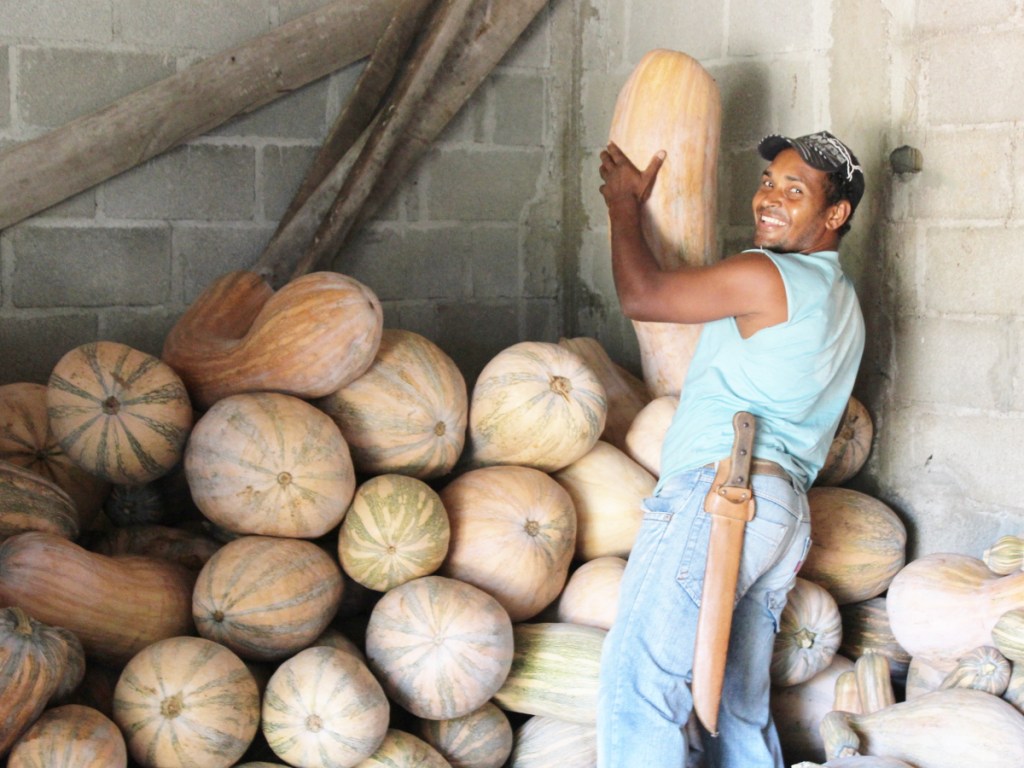 Resposta da Esquerda sobre Golpe&nbsp;Inexistente