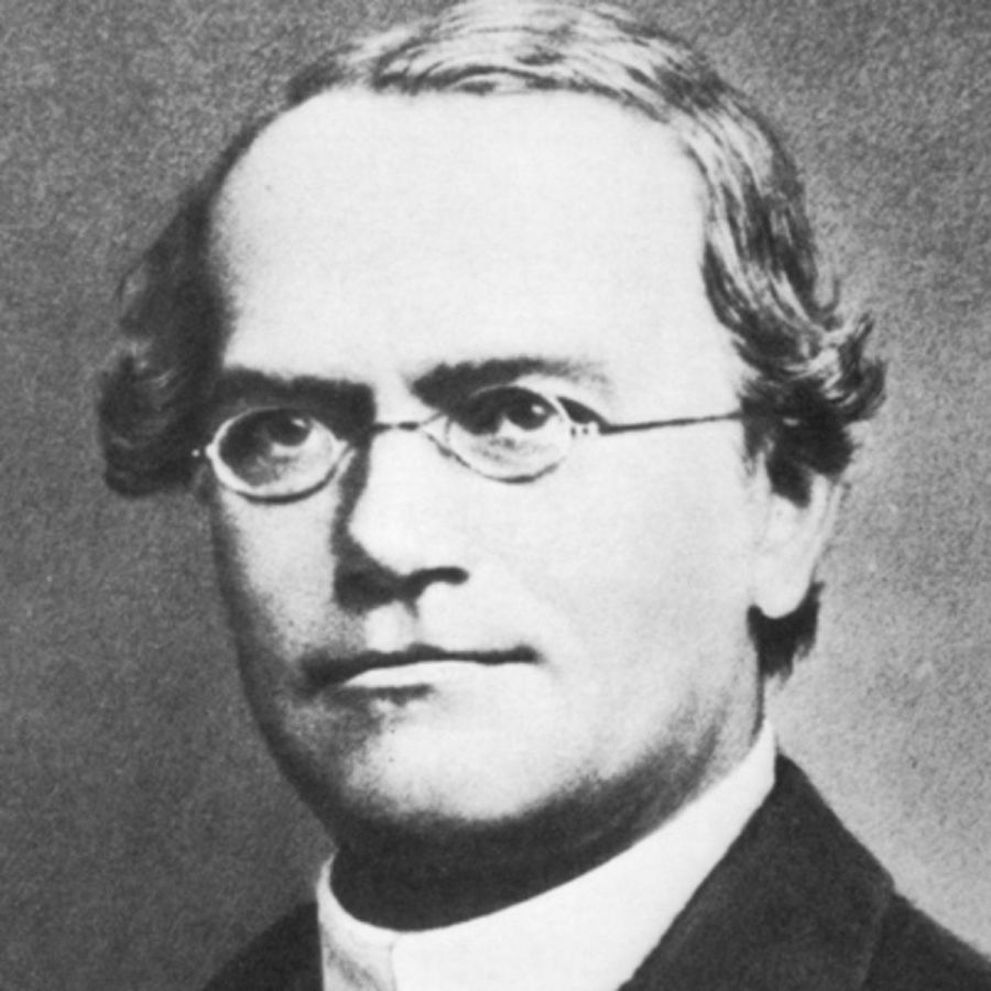 20 de Julho - Gregor Mendel, monge e cientista austríaco, pioneiro da genética