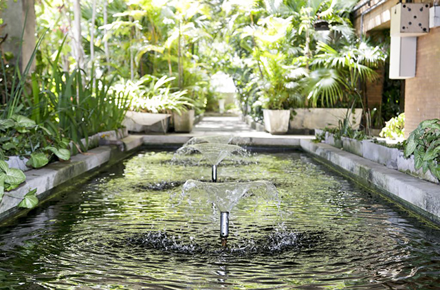 Chafaris da Prefeitura de São Paulo - Foto - José Cordeiro - SPTuris