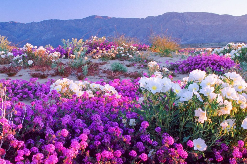 22 de Setembro – Início da&nbsp;Primavera