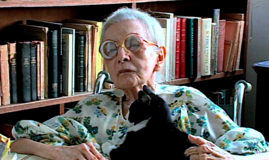 15-de-fevereiro-nise-da-silveira-psicoterapeuta-brasileira