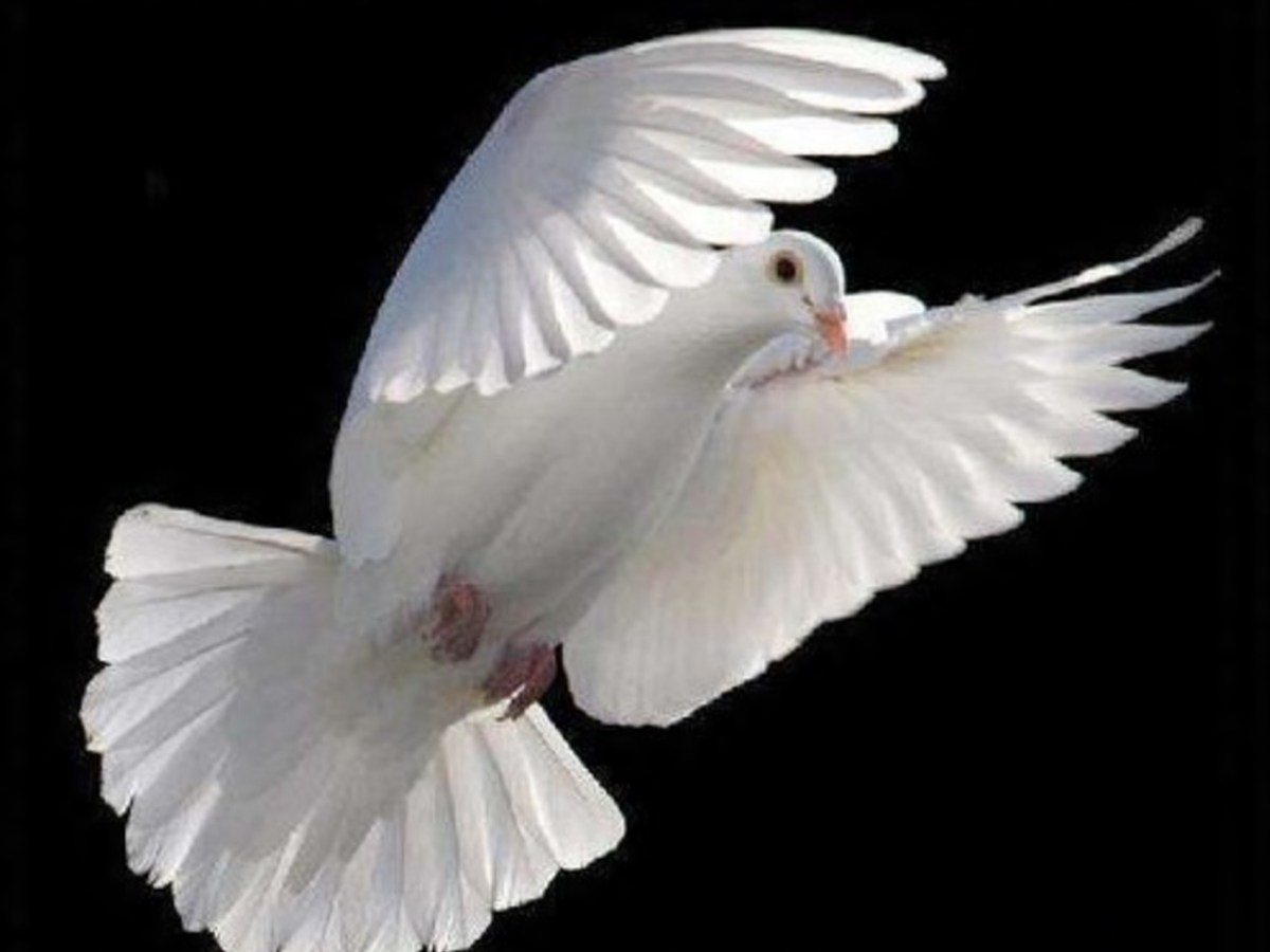 1 de Janeiro – Acontecimentos do&nbsp;Dia