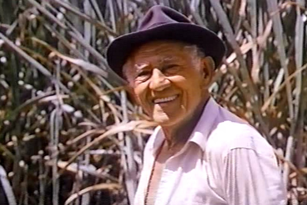 “Aqui jaz” – Megh Stock no Estúdio Showlivre&nbsp;2015