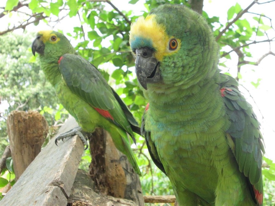 12 de junho - Dia dos Namorados