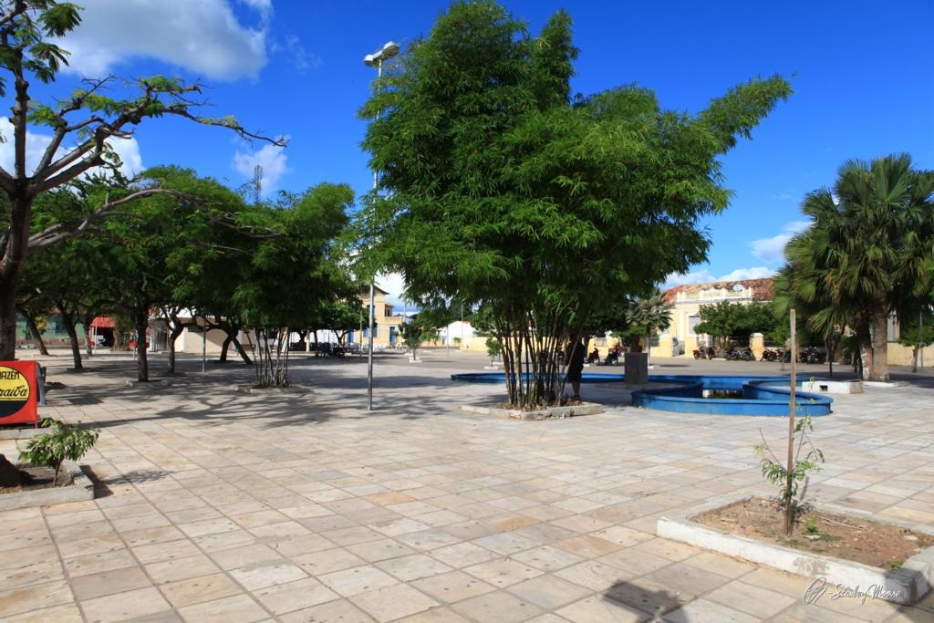 B.B.King Live in Bonn&nbsp;1994