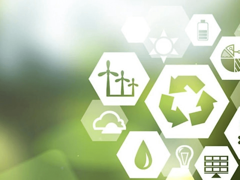 Entenda o que é ESG e veja como empresas aplicam a&nbsp;prática