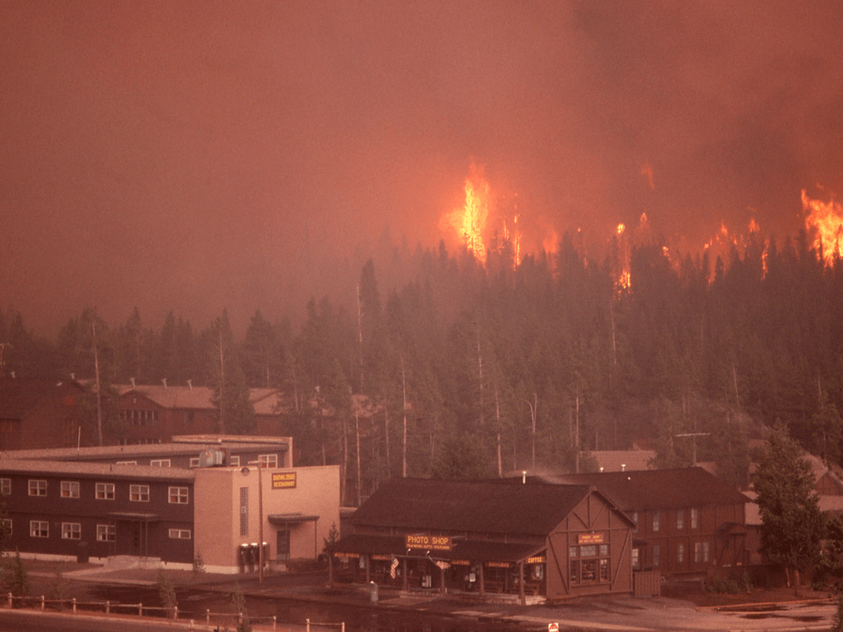 8 de Setembro • Tragédias do Dia&nbsp;Hoje