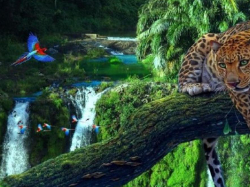 Dia da Amazônia • 5 de&nbsp;Setembro