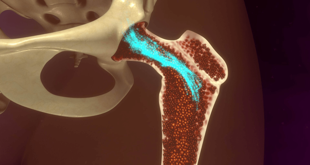 Dia Mundial do Doador de Medula Óssea • 3º Sábado de&nbsp;Setembro