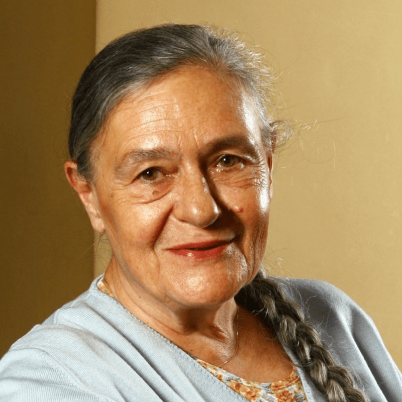 O Construtivismo e a&nbsp;Desconstrução